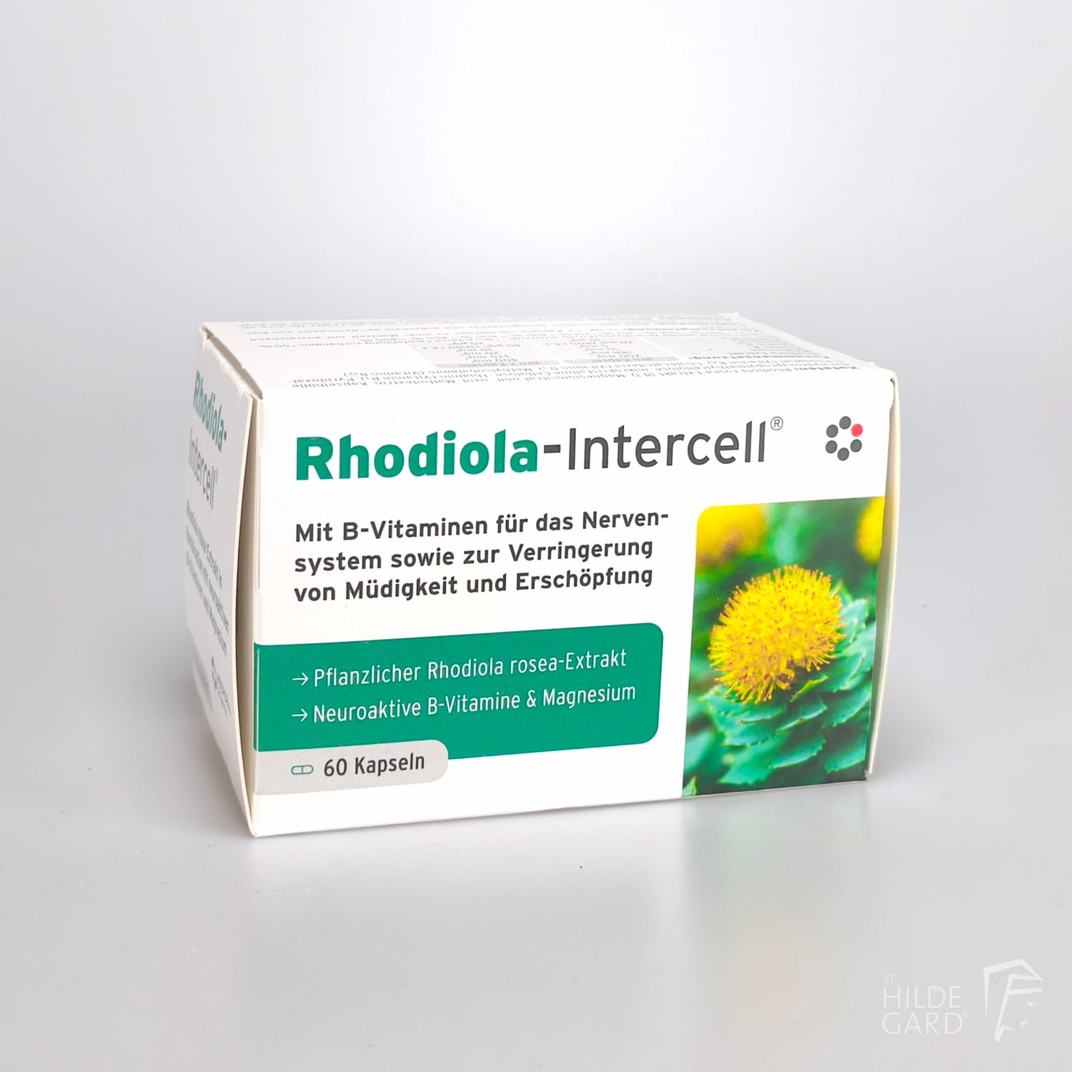 Rhodiola-Intercell - Pflanzlicher Rhodiola rosea-Extrakt